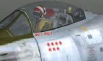 FS2004/FSX F-86 Sabre of The Hunters Textures